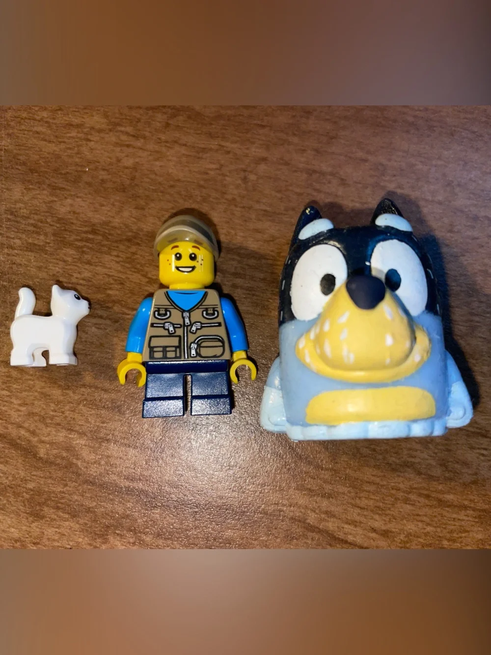 Lego Blue and Yellow Minifigure & cat with Bandit